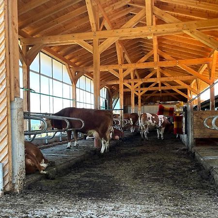 Landgasthof Blasini - Pfahlhof Zandt Eksteriør billede