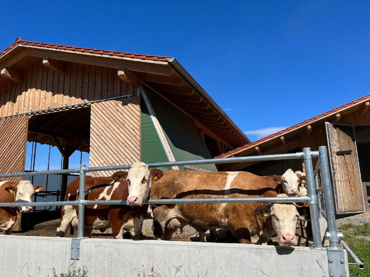 Landgasthof Blasini - Pfahlhof Zandt Eksteriør billede
