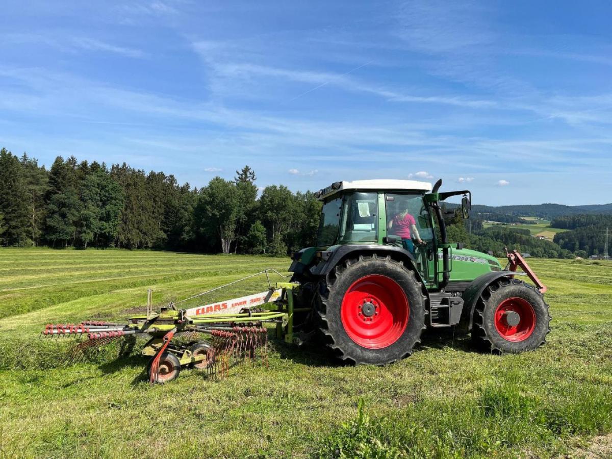 Landgasthof Blasini - Pfahlhof Zandt Eksteriør billede