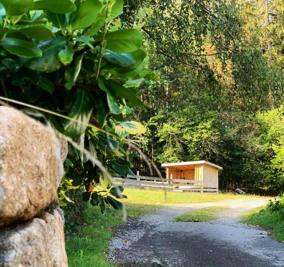 Landgasthof Blasini - Pfahlhof Zandt Eksteriør billede